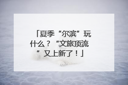 夏季“尔滨”玩什么？“文旅顶流”又上新了！