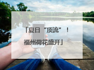 夏日“顶流”！福州荷花盛开