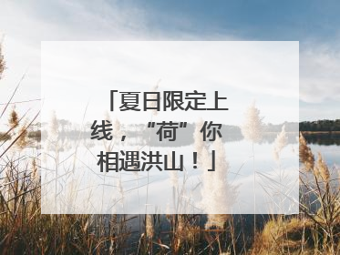夏日限定上线，“荷”你相遇洪山！