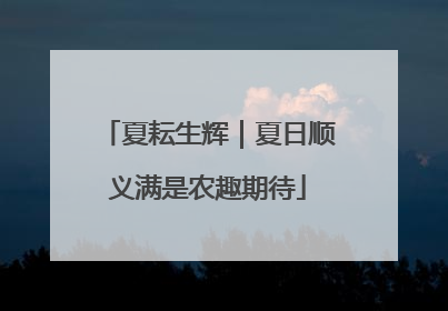 夏耘生辉｜夏日顺义满是农趣期待