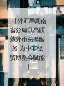 外汇局湖南省分局以高质效外币兑换服务 为中非经贸博览会赋能