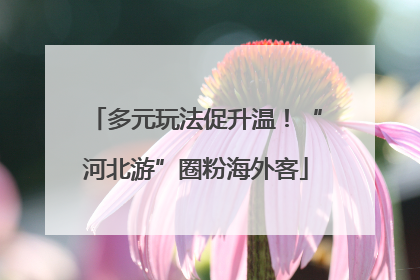 多元玩法促升温！“河北游”圈粉海外客