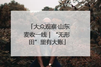 大众观察·山东麦收一线｜“无形田”里有大账