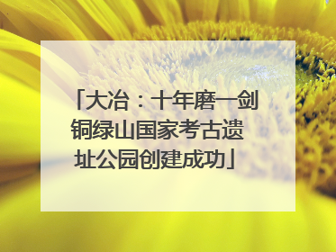 大冶：十年磨一剑 铜绿山国家考古遗址公园创建成功