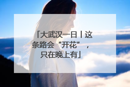 大武汉一日丨这条路会“开花”，只在晚上有