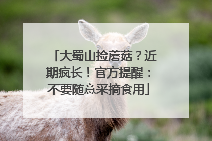 大蜀山捡蘑菇？近期疯长！官方提醒：不要随意采摘食用