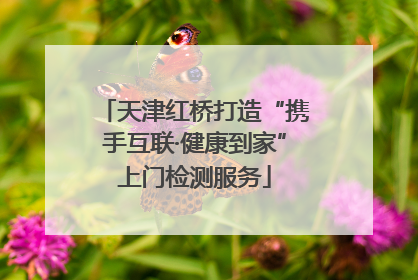 天津红桥打造“携手互联·健康到家”上门检测服务