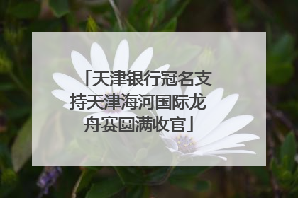 天津银行冠名支持天津海河国际龙舟赛圆满收官
