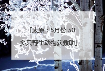 太原：5月份 50多只野生动物获救助