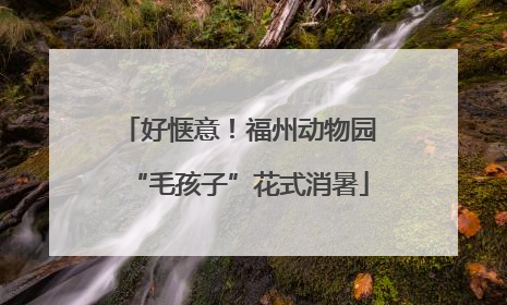 好惬意！福州动物园“毛孩子”花式消暑