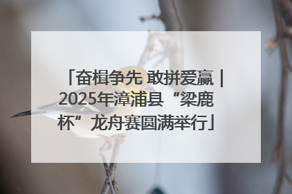 奋楫争先 敢拼爱赢｜2025年漳浦县“梁鹿杯”龙舟赛圆满举行