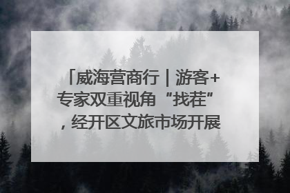 威海营商行｜游客+专家双重视角“找茬”，经开区文旅市场开展暑期前“体检”