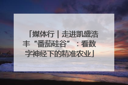 媒体行｜走进凯盛浩丰“番茄硅谷”：看数字神经下的精准农业