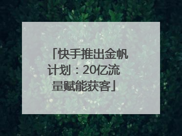快手推出金帆计划：20亿流量赋能获客