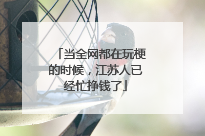 当全网都在玩梗的时候，江苏人已经忙挣钱了