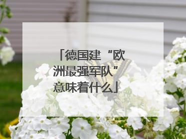 德国建“欧洲最强军队”意味着什么