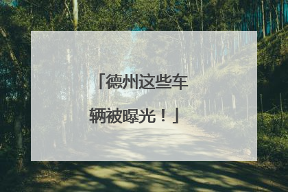 德州这些车辆被曝光！