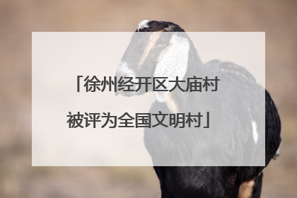 徐州经开区大庙村被评为全国文明村