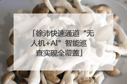 徐沛快速通道“无人机+AI”智能巡查实现全覆盖