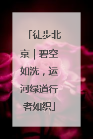 徒步北京｜碧空如洗，运河绿道行者如织