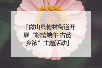 微山县傅村街道开展“粽情端午·古韵乡浓”主题活动
