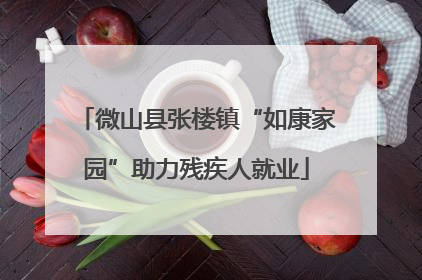 微山县张楼镇“如康家园”助力残疾人就业