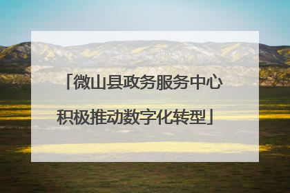 微山县政务服务中心积极推动数字化转型