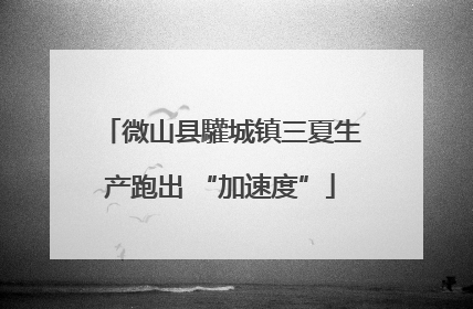 微山县驩城镇三夏生产跑出 “加速度”