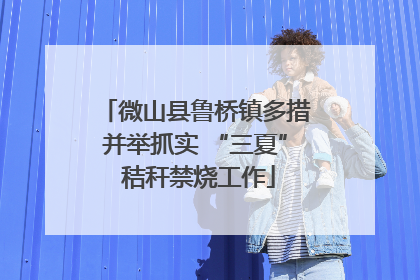 微山县鲁桥镇多措并举抓实 “三夏” 秸秆禁烧工作