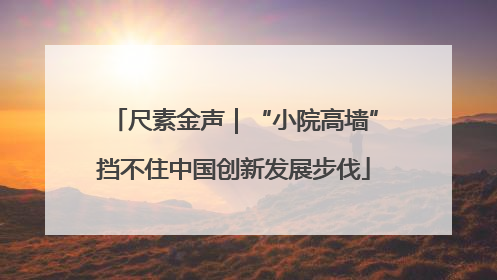 尺素金声｜“小院高墙”挡不住中国创新发展步伐