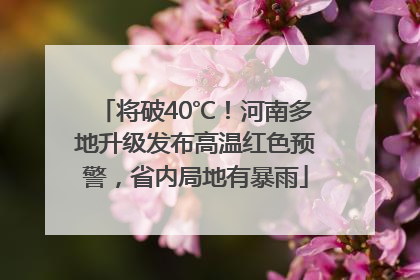 将破40℃！河南多地升级发布高温红色预警，省内局地有暴雨