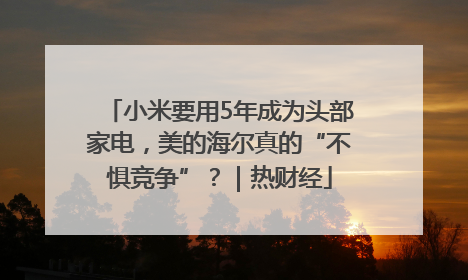 小米要用5年成为头部家电，美的海尔真的“不惧竞争”？｜热财经