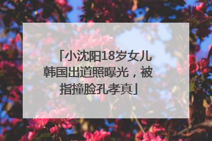 小沈阳18岁女儿韩国出道照曝光，被指撞脸孔孝真