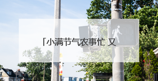 小满节气农事忙 又是一年好“丰”光