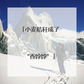 小麦秸秆成了“香饽饽”