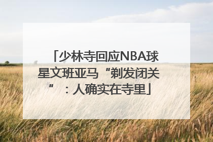 少林寺回应NBA球星文班亚马“剃发闭关”：人确实在寺里