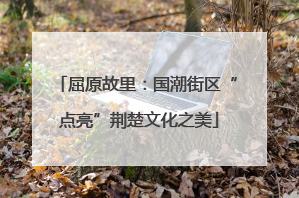 屈原故里：国潮街区“点亮”荆楚文化之美