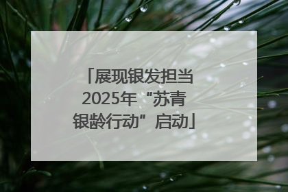 展现银发担当 2025年“苏青银龄行动”启动
