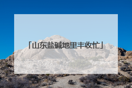 山东盐碱地里丰收忙