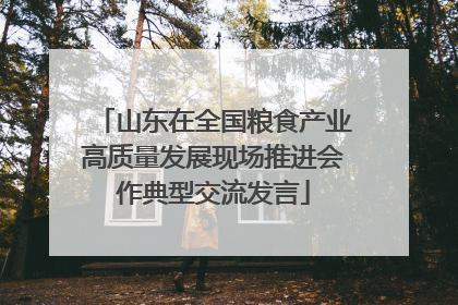 山东在全国粮食产业高质量发展现场推进会作典型交流发言