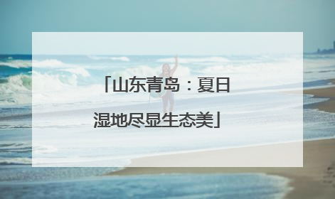 山东青岛：夏日湿地尽显生态美