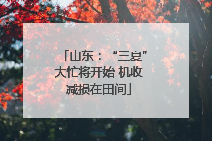 山东：“三夏”大忙将开始 机收减损在田间