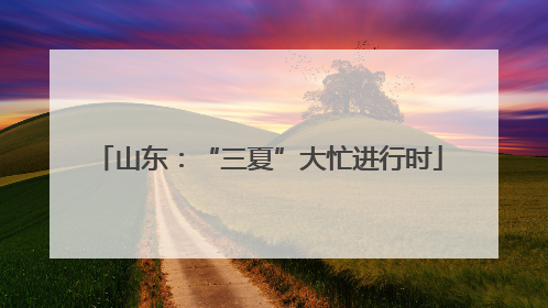 山东：“三夏”大忙进行时