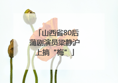 山西省80后蒲剧演员梁静沪上摘“梅”