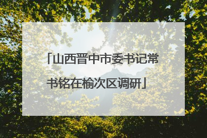 山西晋中市委书记常书铭在榆次区调研