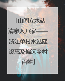 山间立水站 清泉入万家——浙江单村水站建设惠及偏远乡村百姓
