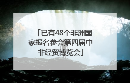 已有48个非洲国家报名参会第四届中非经贸博览会