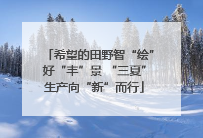 希望的田野智“绘”好“丰”景 “三夏”生产向“新”而行