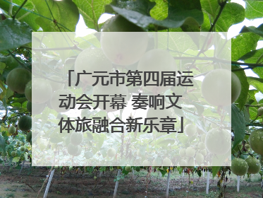广元市第四届运动会开幕 奏响文体旅融合新乐章