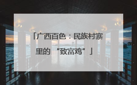 广西百色：民族村寨里的 “致富鸡”